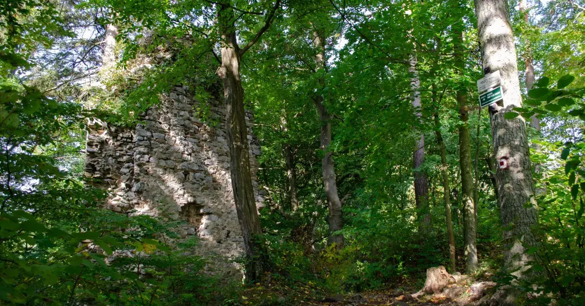 Hrad Holštejn